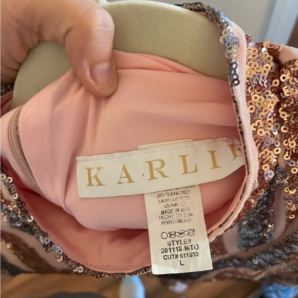 Karlie Sequin Dress - Picture 3 of 3